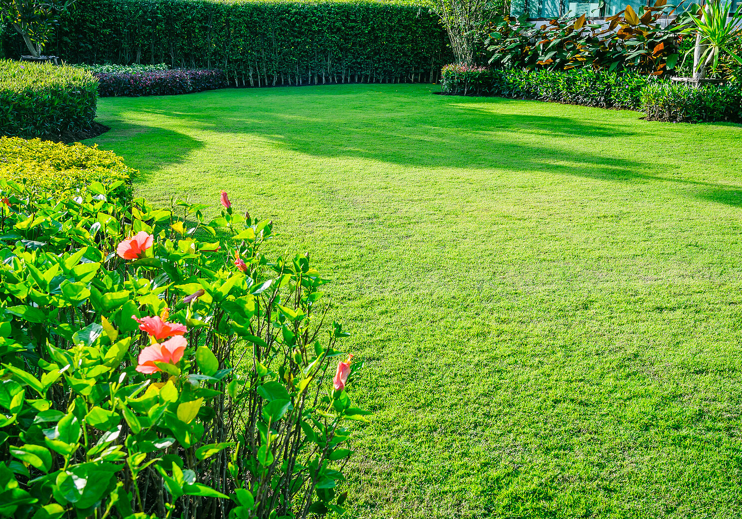 Garden With Fresh Green Grass Both Shrub And Flower Front Lawn B Garden with fresh green grass both shrub and flower front lawn background, Garden landscape design Fresh grass smooth lawn with curve form bush in house's garden care.
